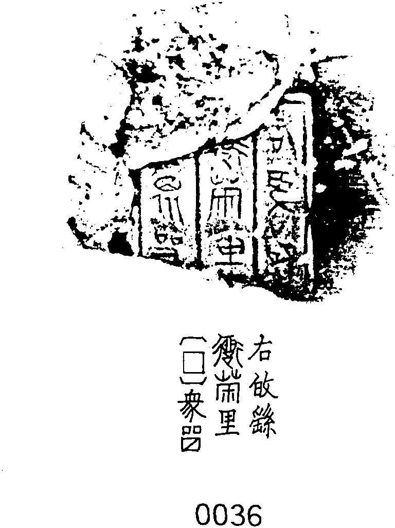 三、右敀